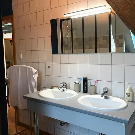 Le Tomi Apartment Colmar