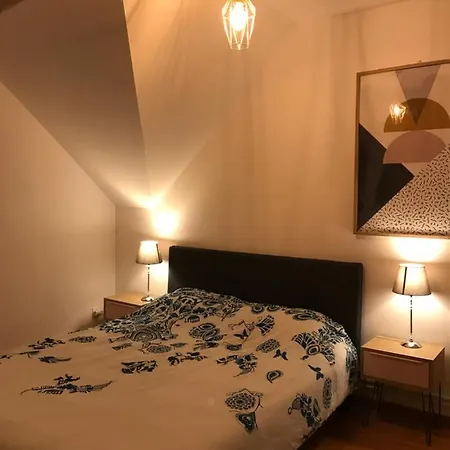 Le Tomi Apartment Colmar